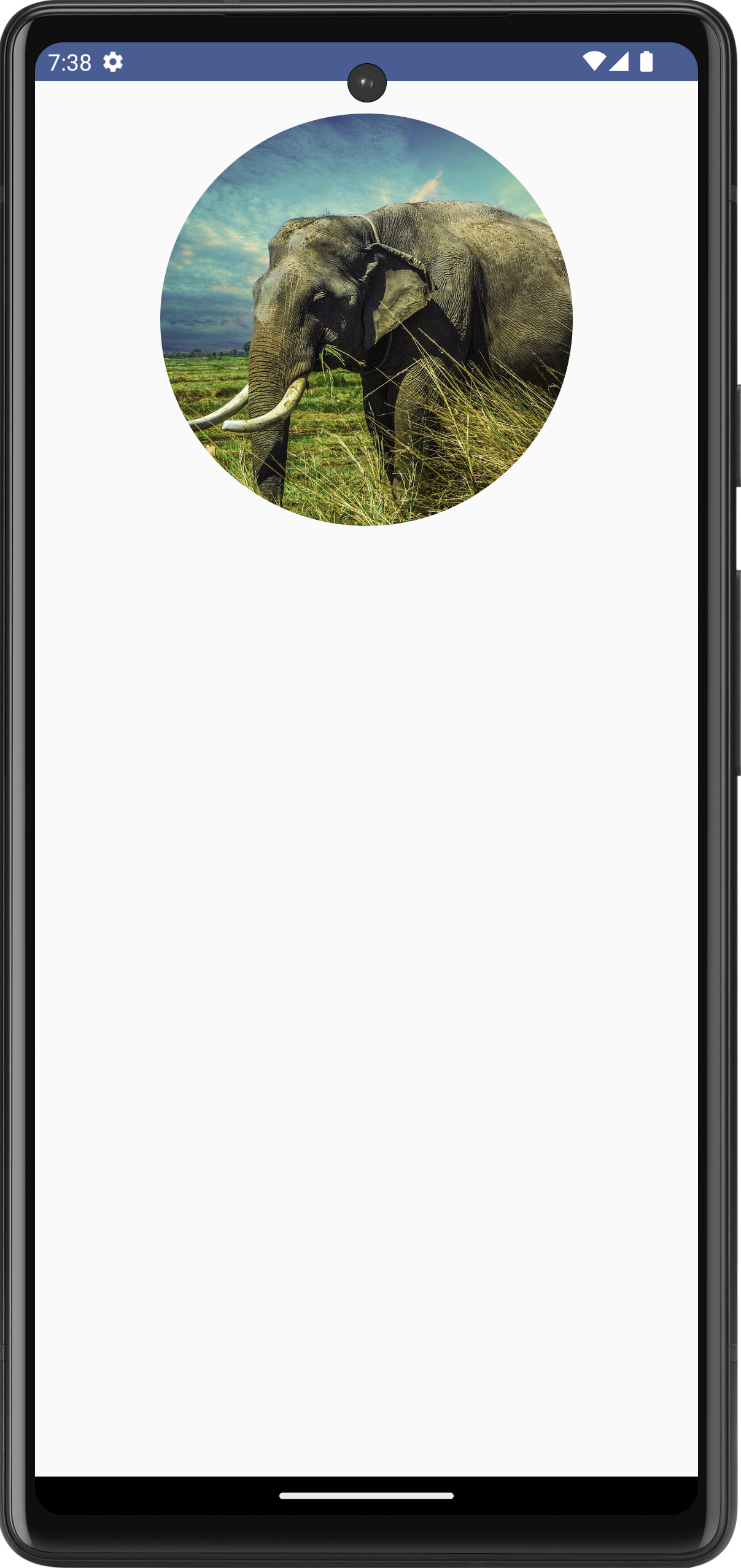Android Jetpack Compose - Circular Image